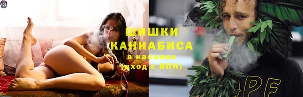 трава Богородицк