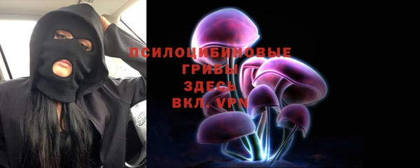 бошки Бородино