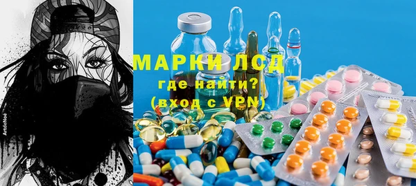 бошки Бородино