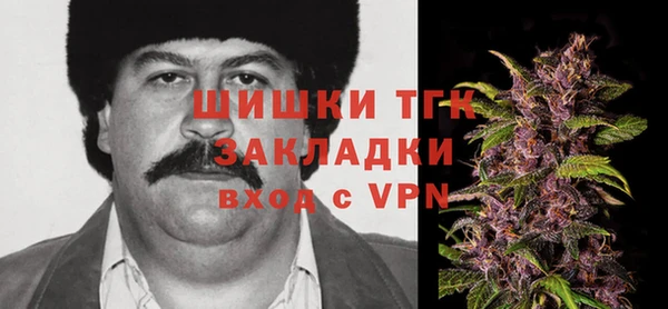 бошки Бородино