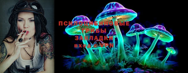трава Богородицк