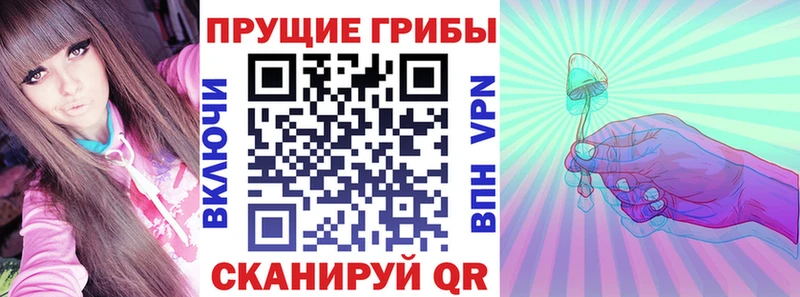 Псилоцибиновые грибы мухоморы  цены наркотик  hydra вход  Чебоксары 